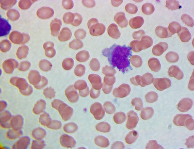 Stains & Reagents - Volu-Sol
