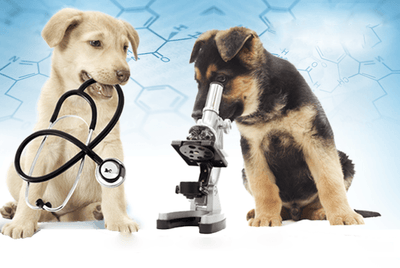 Veterinary Products - Volu-Sol